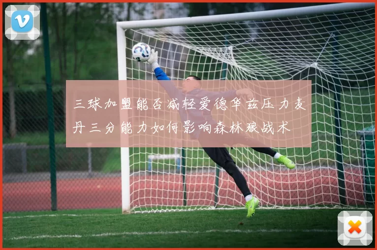 三球加盟能否减轻爱德华兹压力麦丹三分能力如何影响森林狼战术