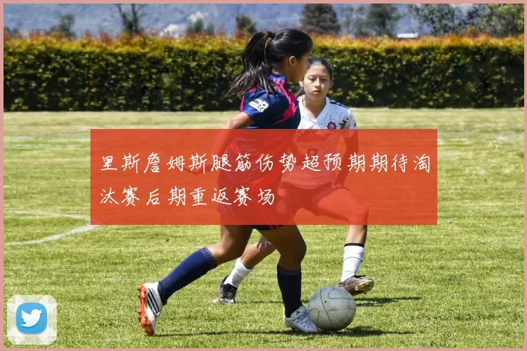 里斯詹姆斯腿筋伤势超预期期待淘汰赛后期重返赛场