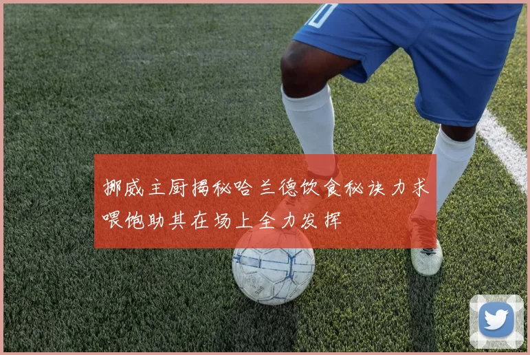 挪威主厨揭秘哈兰德饮食秘诀力求喂饱助其在场上全力发挥